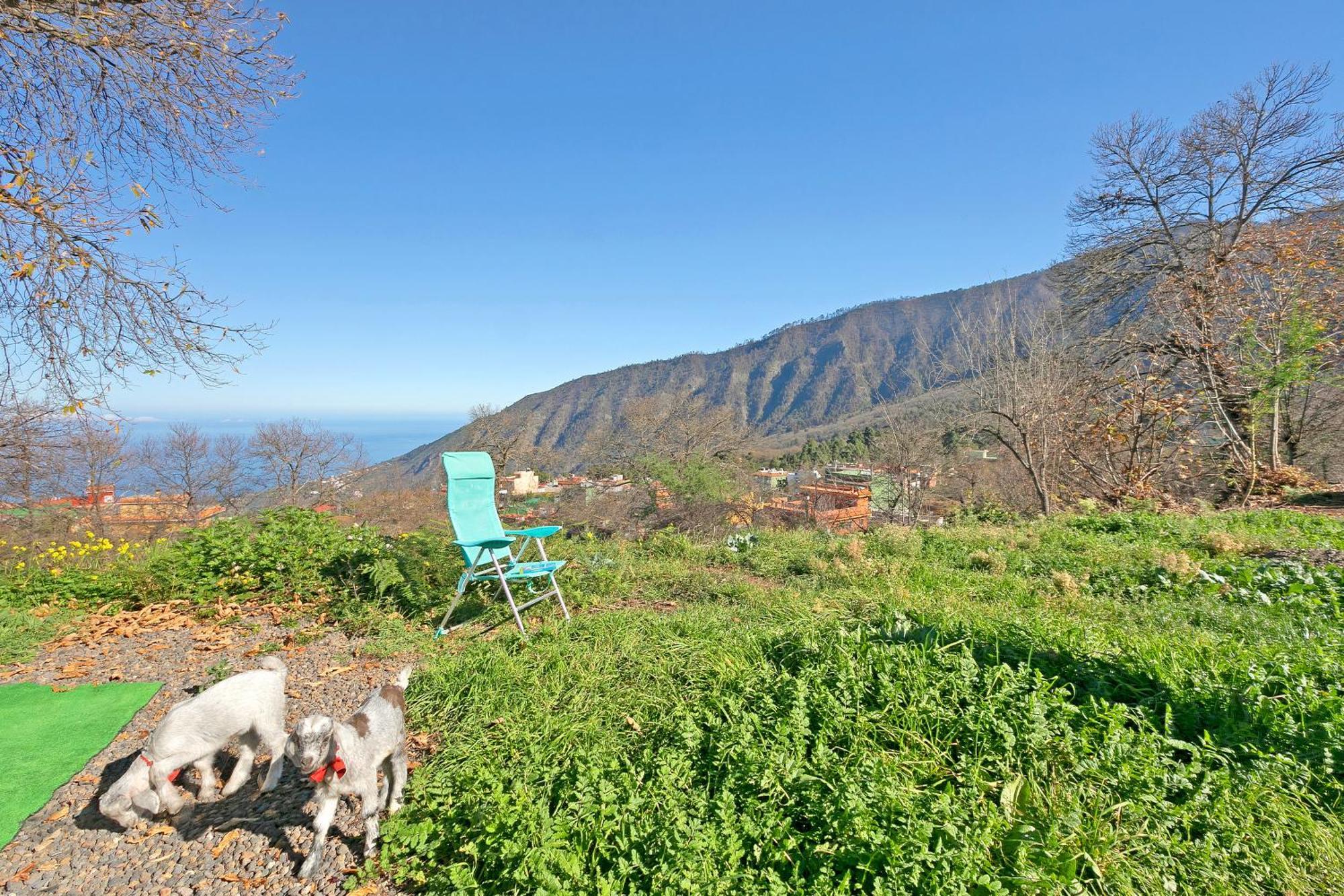 Villa Aguamansa Relax La Orotava Esterno foto